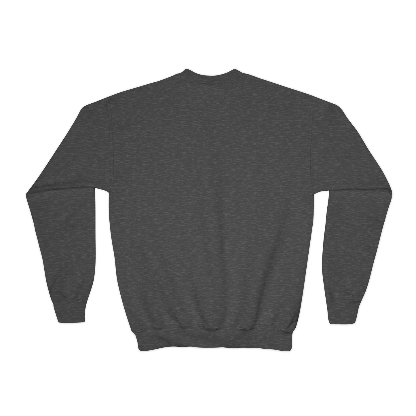 Youth Back to School Crewneck Sweatshirt – Cozy Fall Student Pullover, Fun Kids Fashion, Perfect for School Events & Birthday Gifts