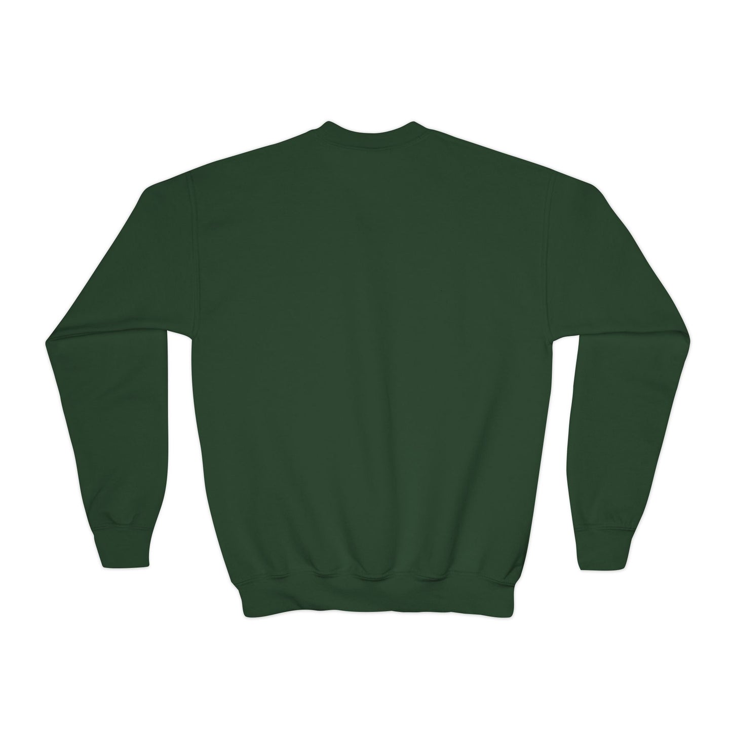 Youth Back to School Crewneck Sweatshirt – Cozy Fall Student Pullover, Fun Kids Fashion, Perfect for School Events & Birthday Gifts