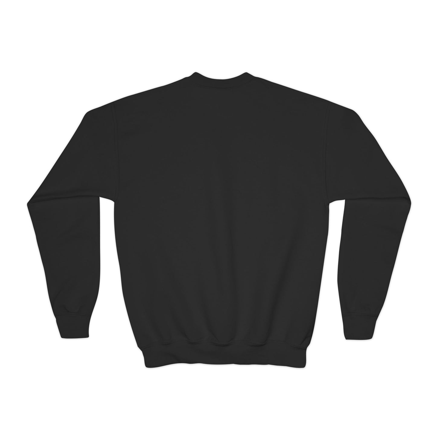 Youth Back to School Crewneck Sweatshirt – Cozy Fall Student Pullover, Fun Kids Fashion, Perfect for School Events & Birthday Gifts
