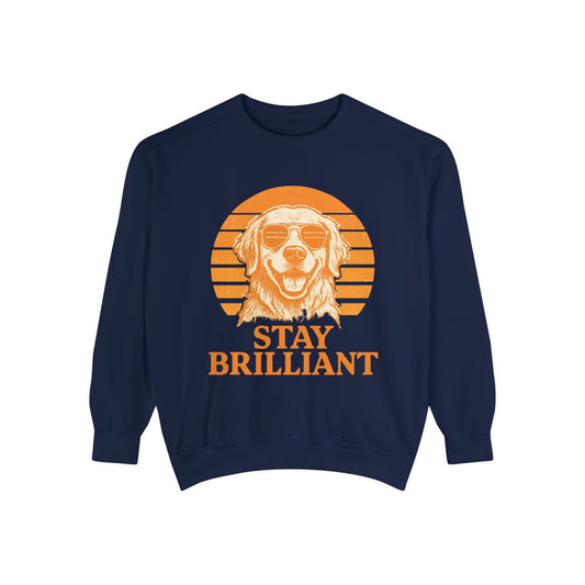 Stay Brilliant Dog Sweatshirt – Cozy Unisex Pullover for Pet Lovers, Cute Everyday Apparel & Gift for Dog Owners