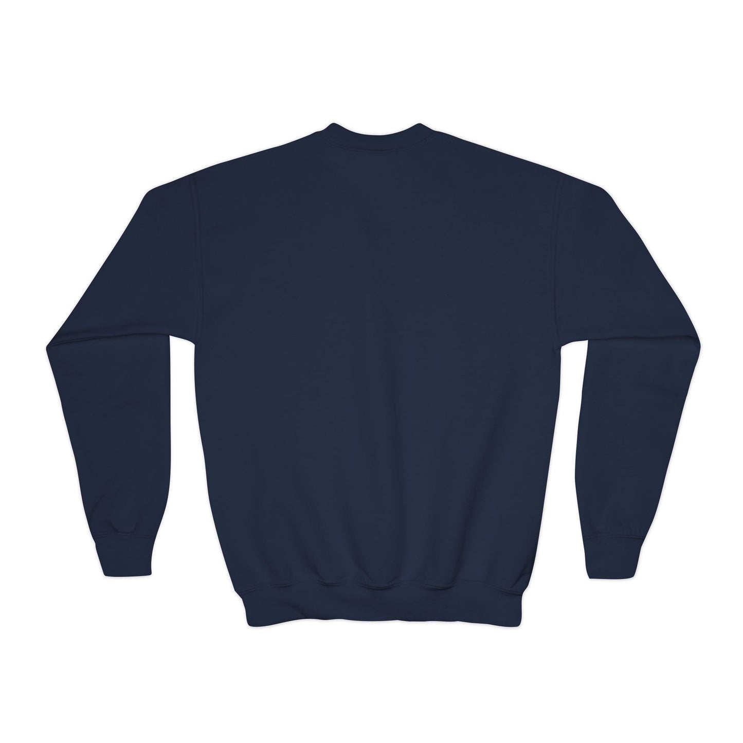 Youth Back to School Crewneck Sweatshirt – Cozy Fall Student Pullover, Fun Kids Fashion, Perfect for School Events & Birthday Gifts