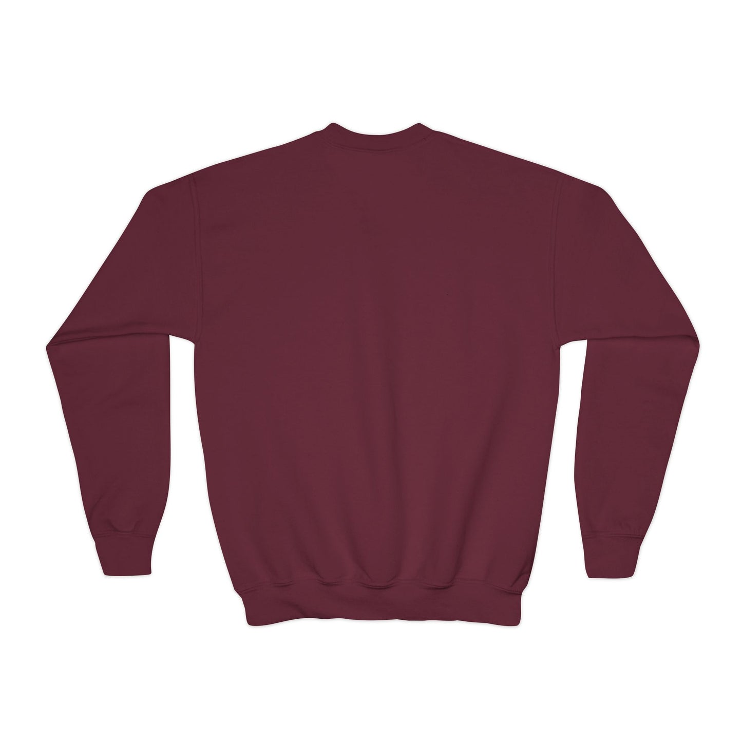 Youth Back to School Crewneck Sweatshirt – Cozy Fall Student Pullover, Fun Kids Fashion, Perfect for School Events & Birthday Gifts